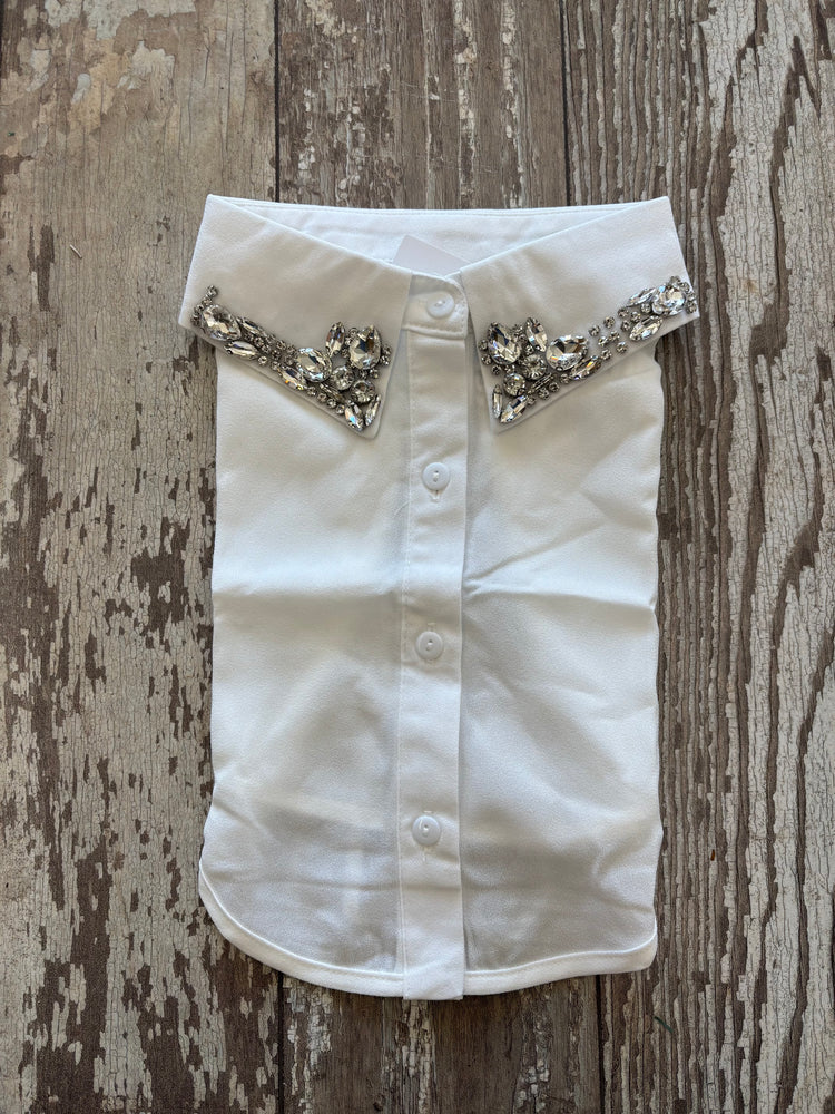 Corporate Collar (3 Colors)